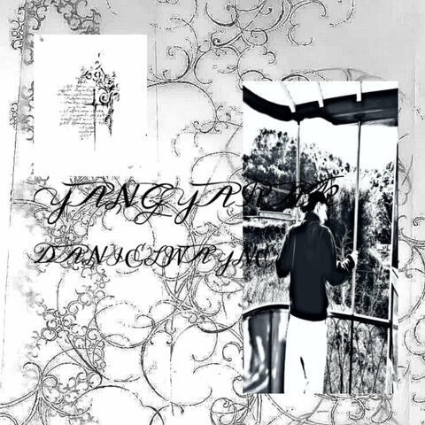 YY DW album art
