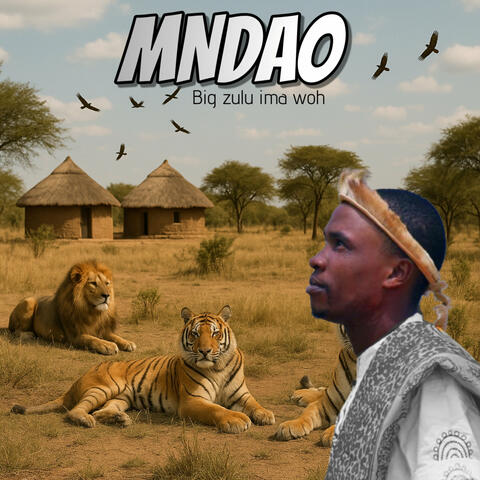 Big Zulu Ima Woh album art