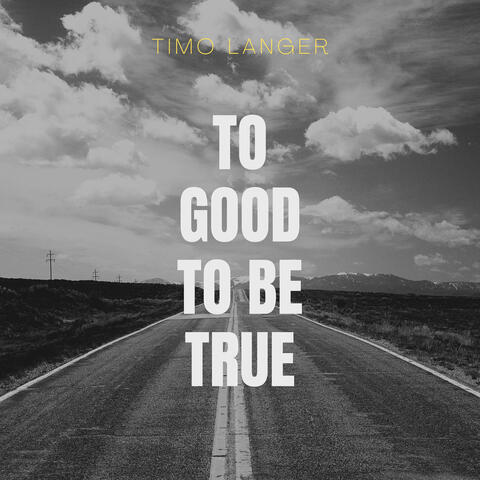 To Good to Be True album art