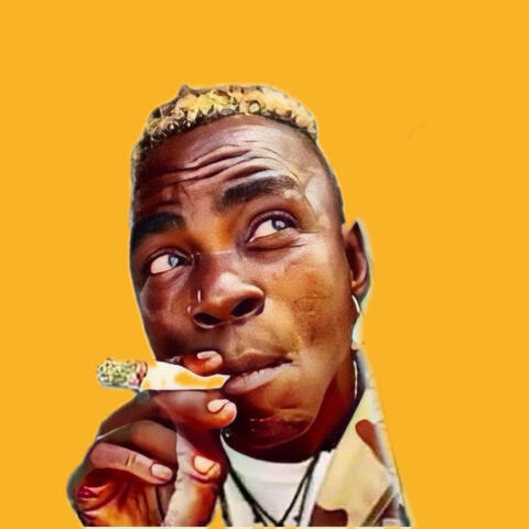 Obo Mini (Fuck Ham Meh) album art