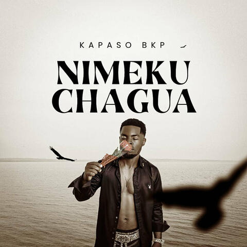 Nimekuchagua album art