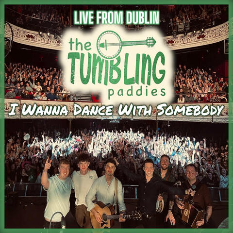 I Wanna Dance With Somebody album art
