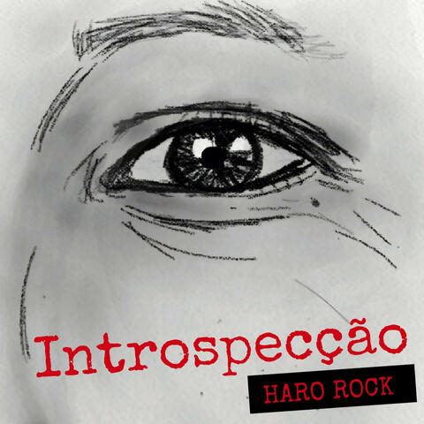 Introspecção album art