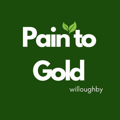 Pain to Gold album art