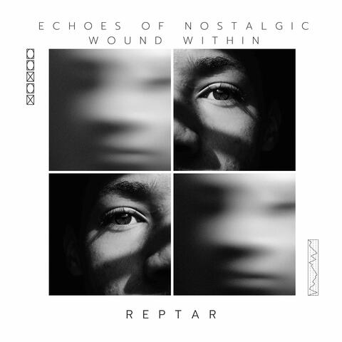 Echoes of Nostalgic Wound Within album art