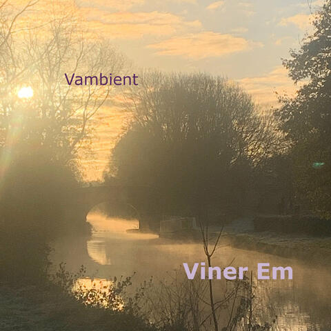 Vambient album art