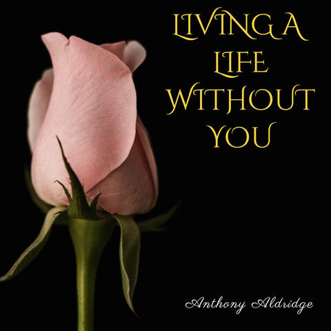 Living a Life Without You album art