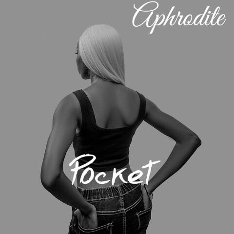 Pocket album art