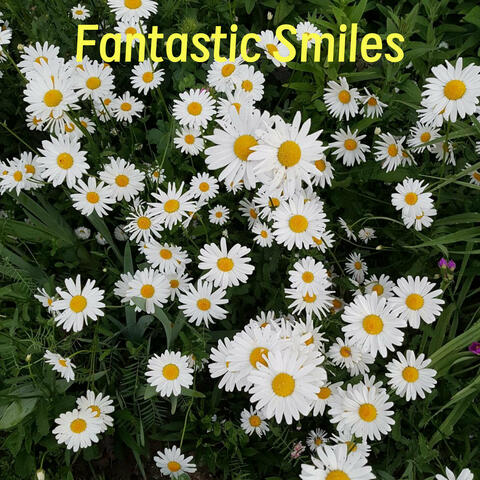 Fantastic Smiles album art