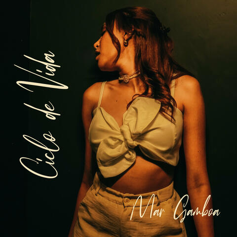 Ciclo de Vida album art