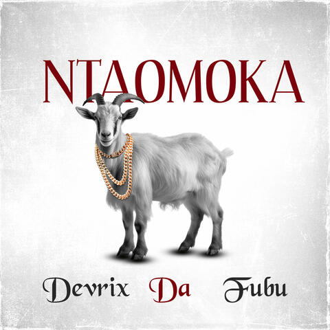 Ntaomoka album art