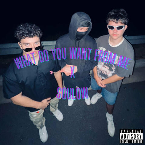 What Do You Want from Me album art