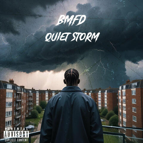 Quiet Storm Freestyle album art