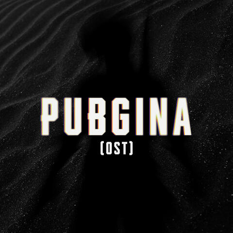 Pubgina album art