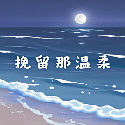 挽留那温柔 album art