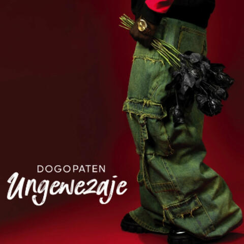 Ungewezaje album art