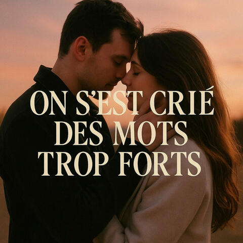 On s'est crié des mots trop forts album art