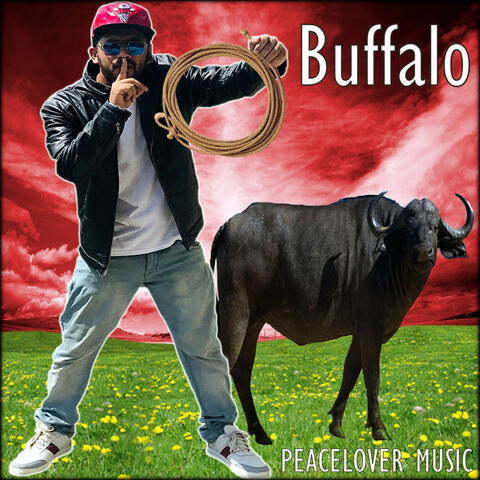 Buffalo album art