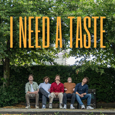 I Need a Taste album art