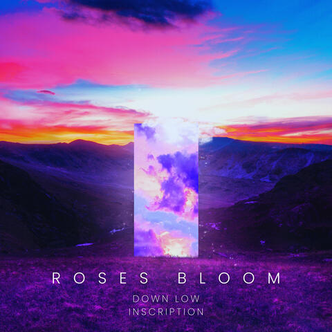 Roses Bloom album art