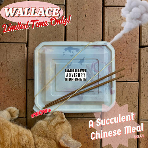 A Succulent Chinese Meal album art