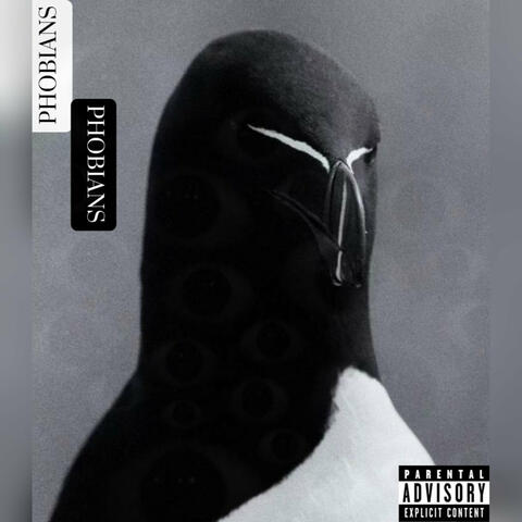 Error : Versionless album art