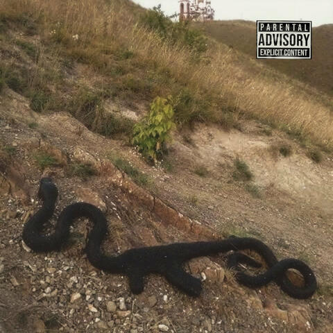 How? Why? album art