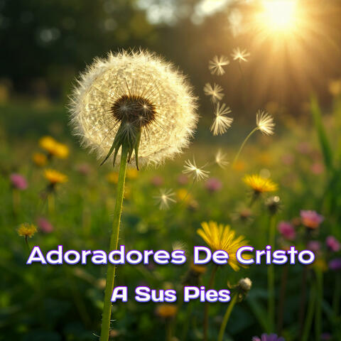 A sus Pies album art