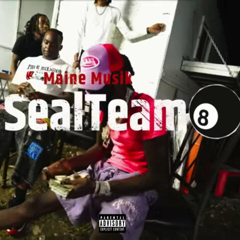 Seal Team 8 album art