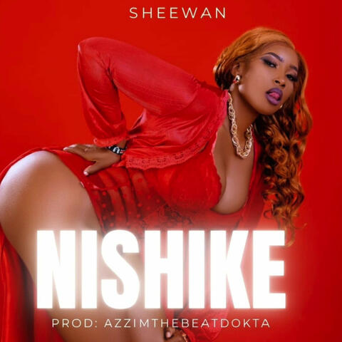 Nishike album art
