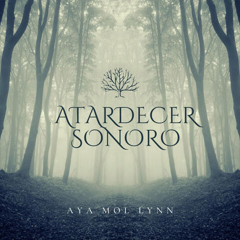 Atardecer Sonoro album art