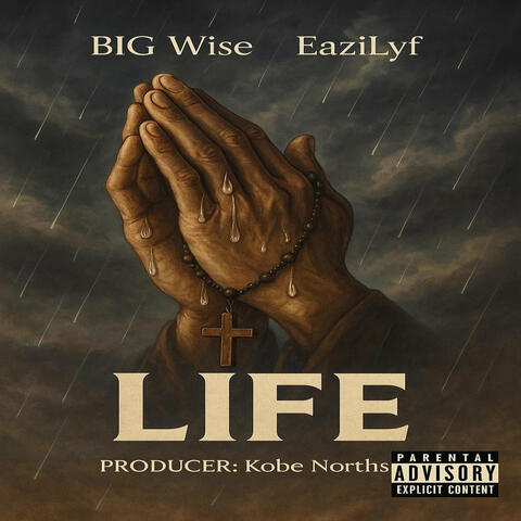 Life album art