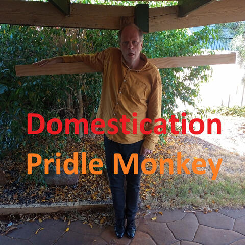 Domestication album art