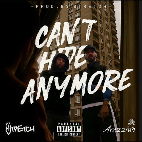 Can't Hide Anymore album art