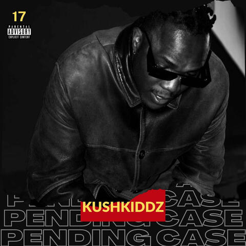 Pending Case album art