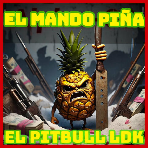 El mando piña album art