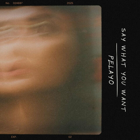 Say What You Want album art