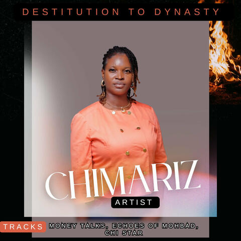 Destitution To Dynasty album art