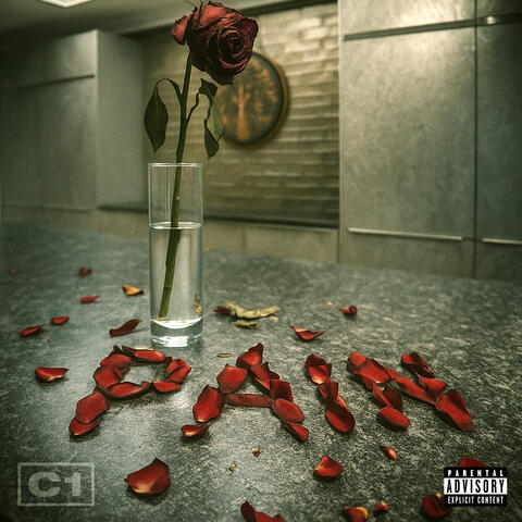 Pain album art