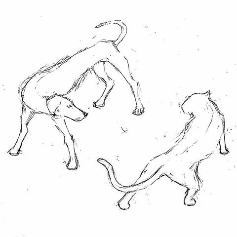 Dogs & Cats (Acoustic) album art