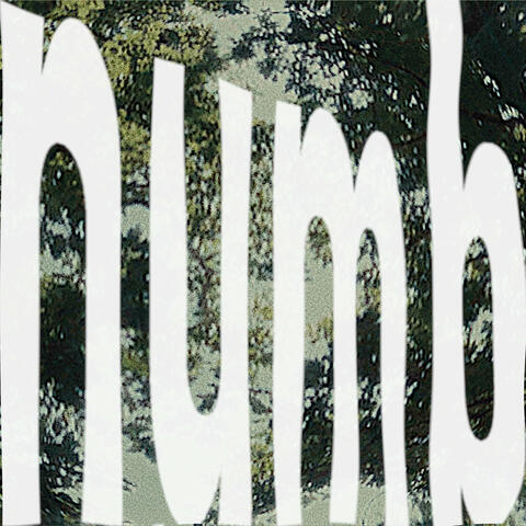 Numb album art