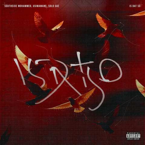Is Dat So album art