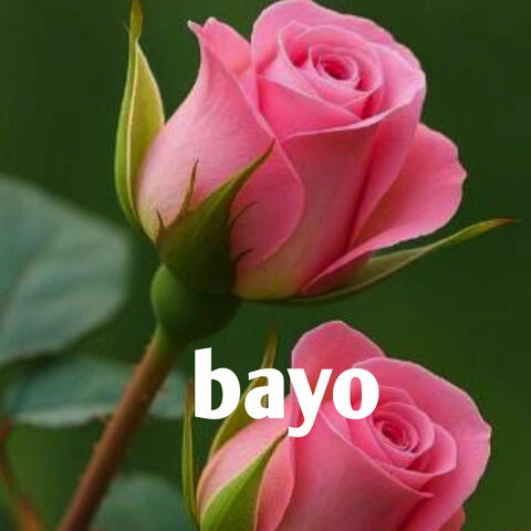 Bayo album art