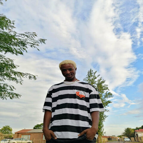 Mlilo album art