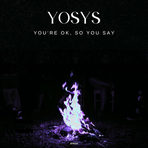 YOSYS (You're Ok, so You Say) album art