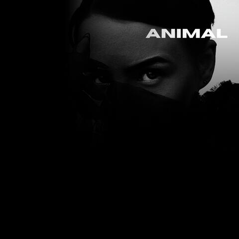 Animal album art