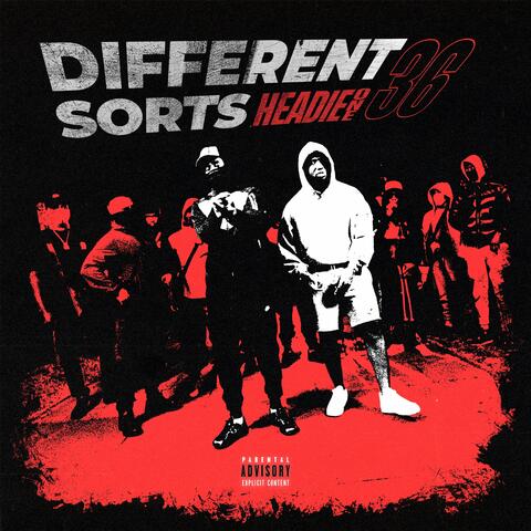 Different Sorts album art
