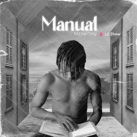 Manual album art