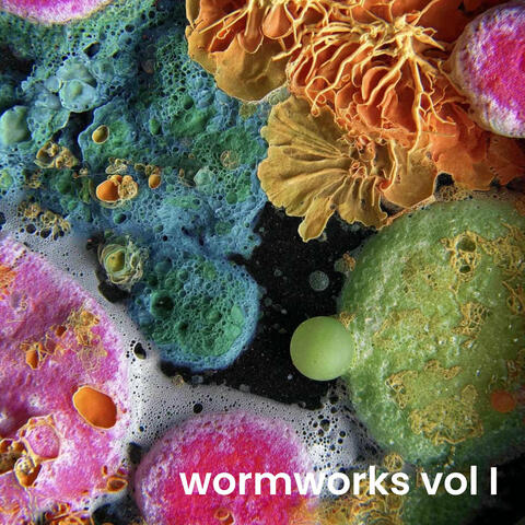 wormworks vol 1 album art