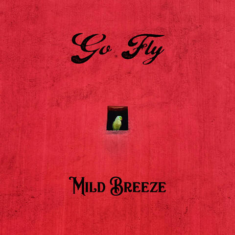 Go Fly album art
